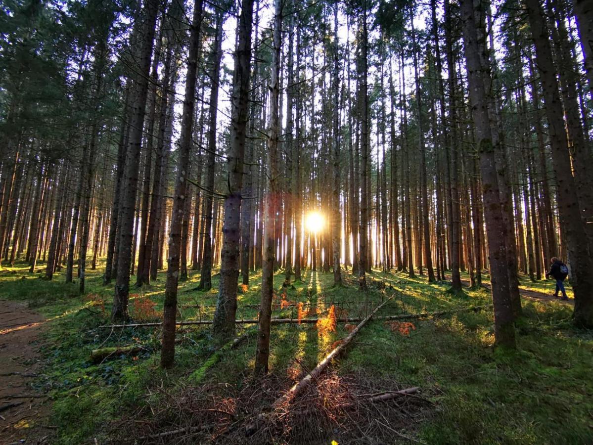 Landhotel Haeuserl Im Wald เกริบมิง ภายนอก รูปภาพ